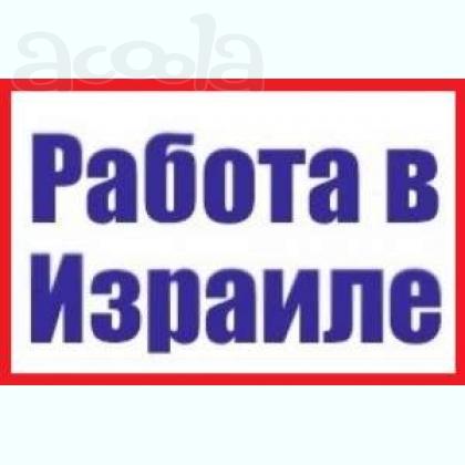 Происходит набор желающих на работу в Израиль!